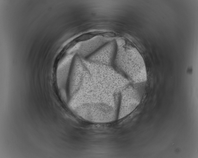 X0000094200338200711241642