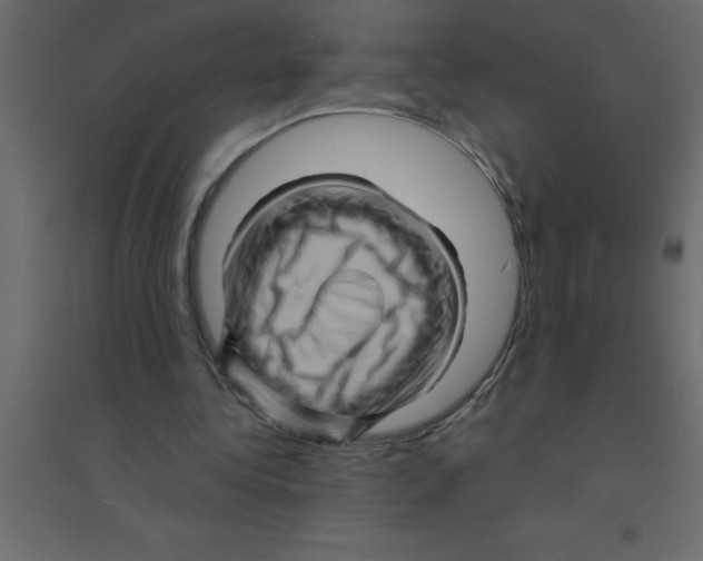 X0000094200340200711241642
