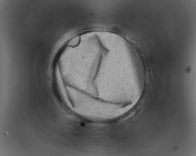 X0000094200343200711241642