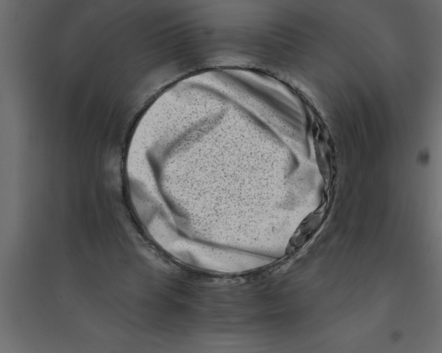 X0000094200345200711241642