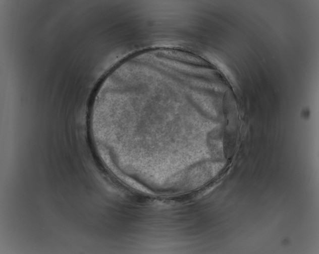 X0000094200346200711241642