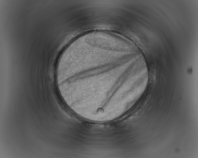 X0000094200347200711241642