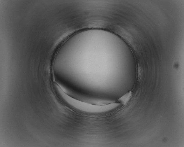 X0000094200348200711241642