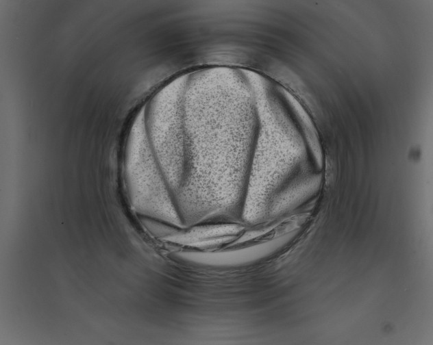 X0000094200349200711241642