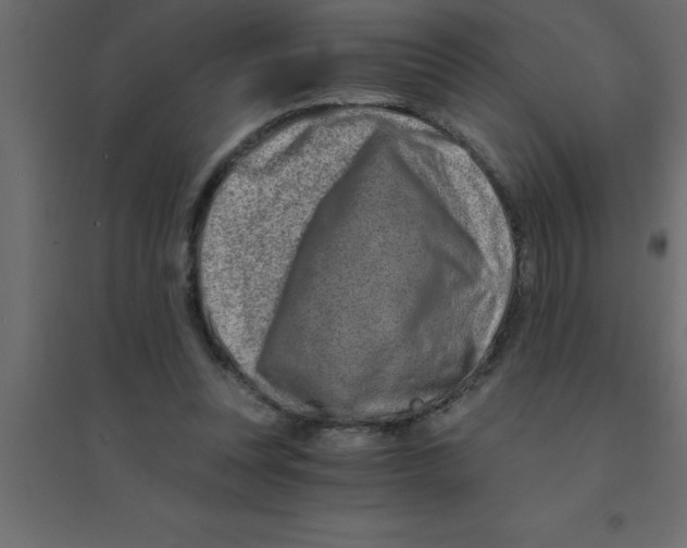 X0000094200351200711241642