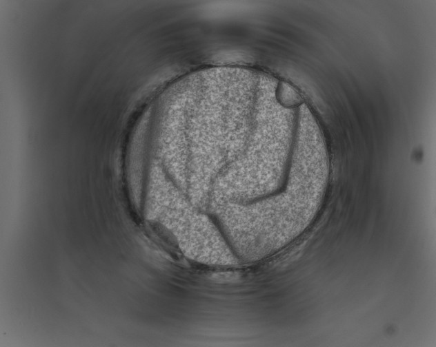 X0000094200353200711241642