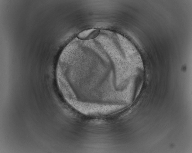 X0000094200354200711241642