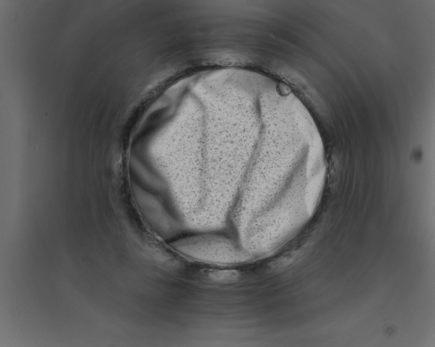 X0000094200355200711241642