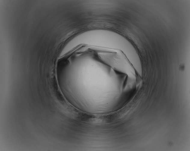 X0000094200356200711241642