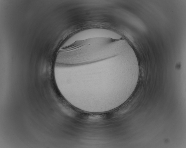 X0000094200357200711241642