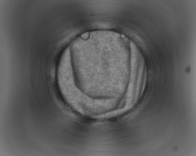 X0000094200358200711241642
