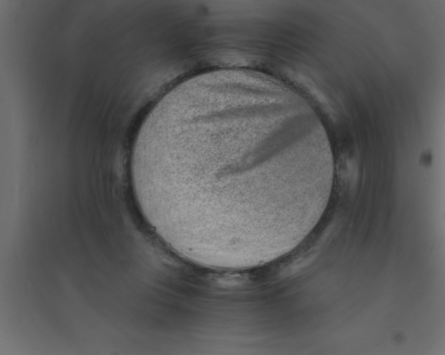X0000094200359200711241642