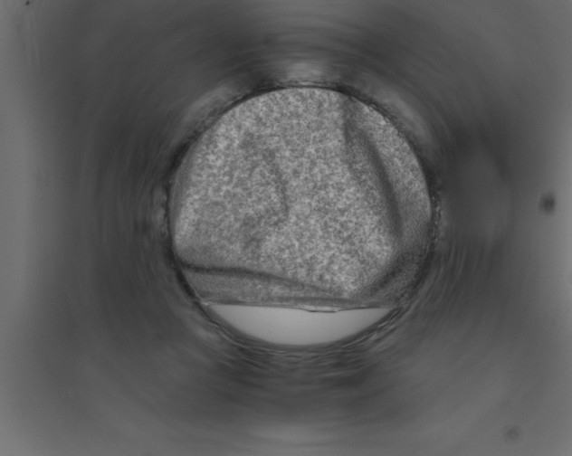 X0000094200361200711241642