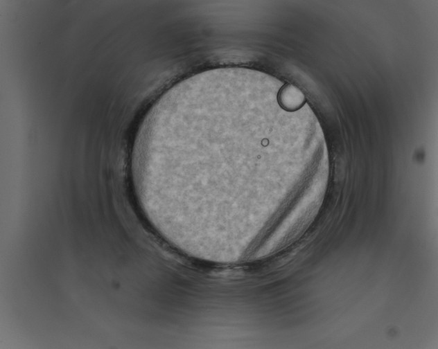 X0000094200362200711241642