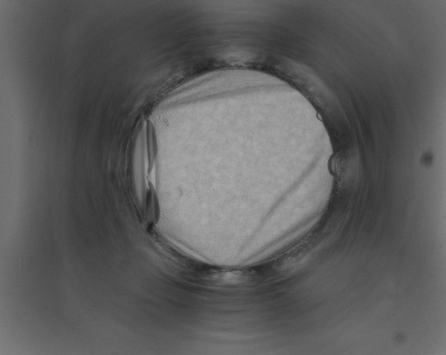 X0000094200365200711241642
