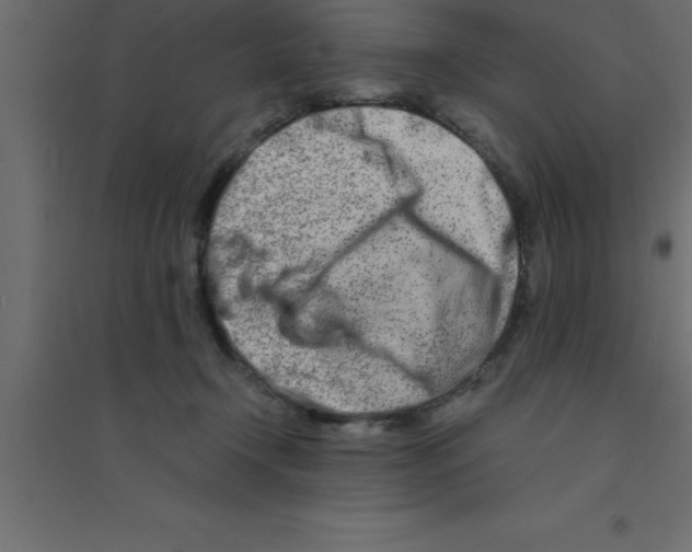 X0000094200366200711241642