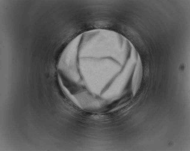 X0000094200367200711241642