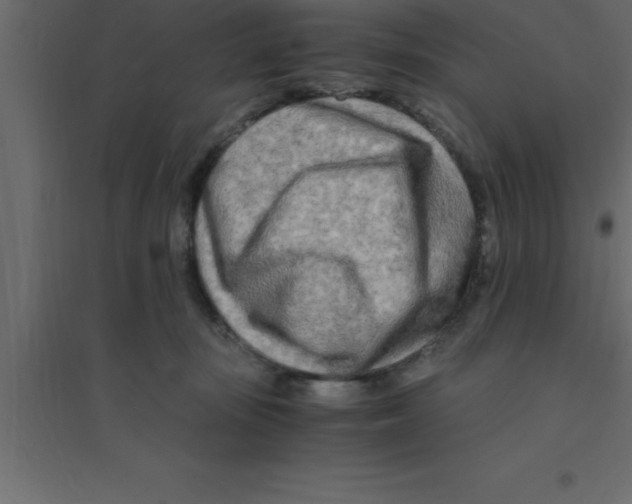 X0000094200371200711241643
