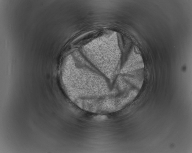 X0000094200374200711241643