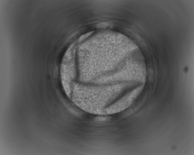 X0000094200375200711241643