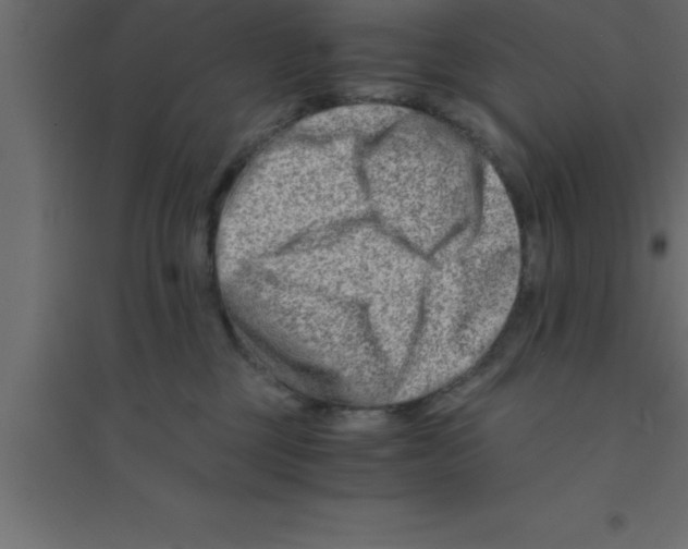 X0000094200377200711241643