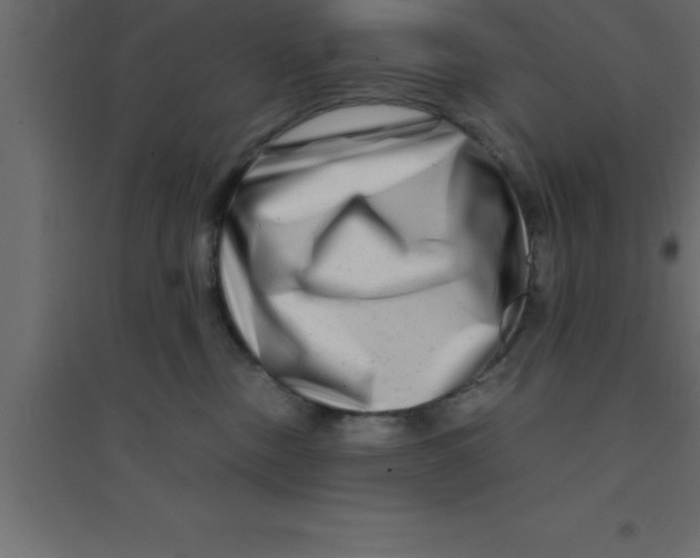 X0000094200378200711241643