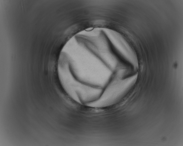 X0000094200379200711241643