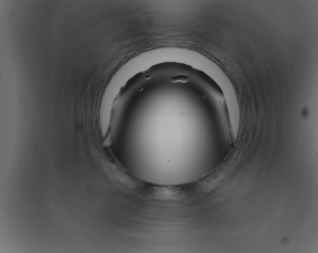 X0000094200380200711241643