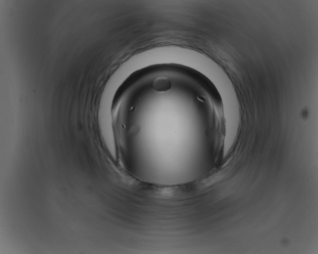 X0000094200382200711241643