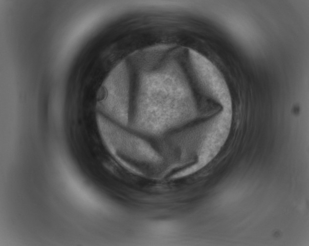 X0000094200383200711241643