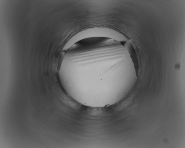 X0000094200384200711241643