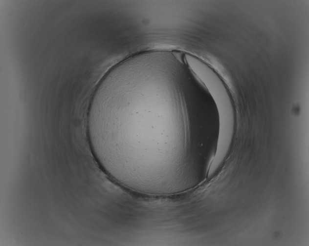 X0000094200385200711241642