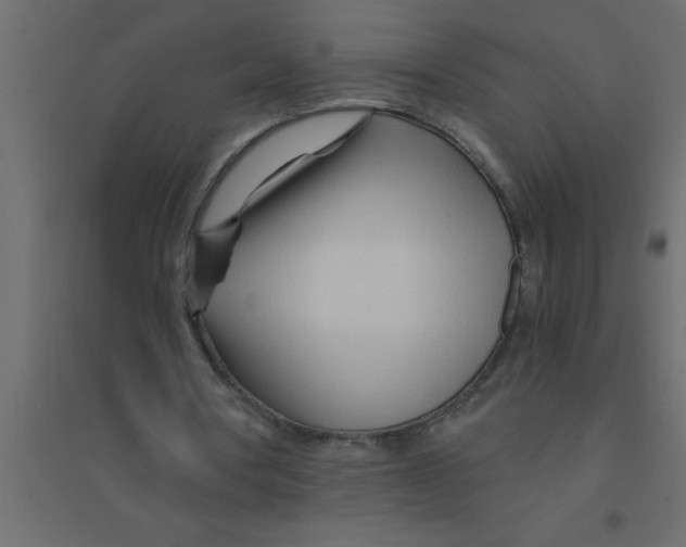 X0000094200386200711241642