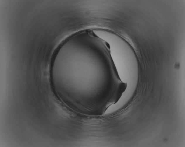 X0000094200387200711241642