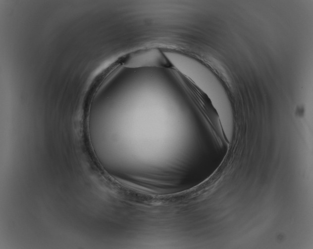 X0000094200388200711241642