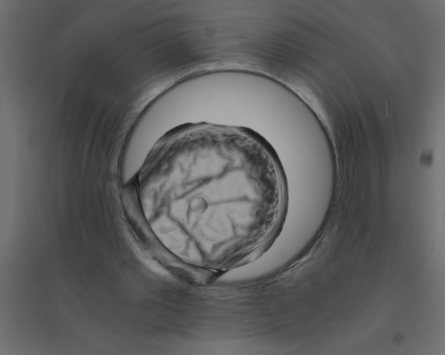 X0000094200389200711241642