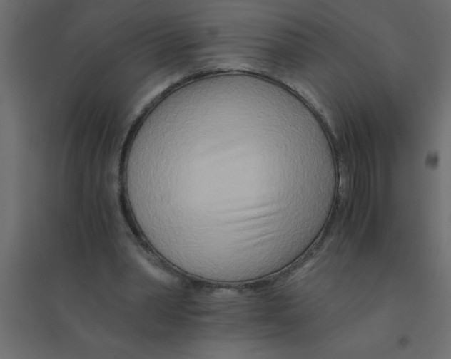 X0000094200390200711241642