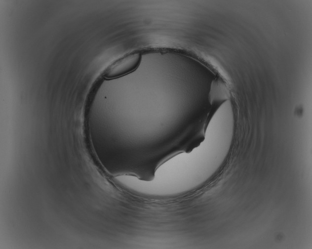 X0000094200391200711241642