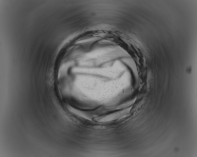 X0000094200392200711241642