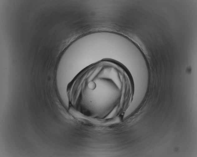 X0000094200393200711241642