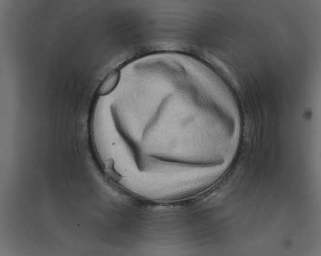 X0000094200394200711241642