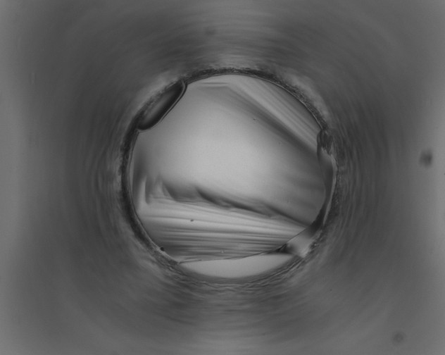 X0000094200395200711241642