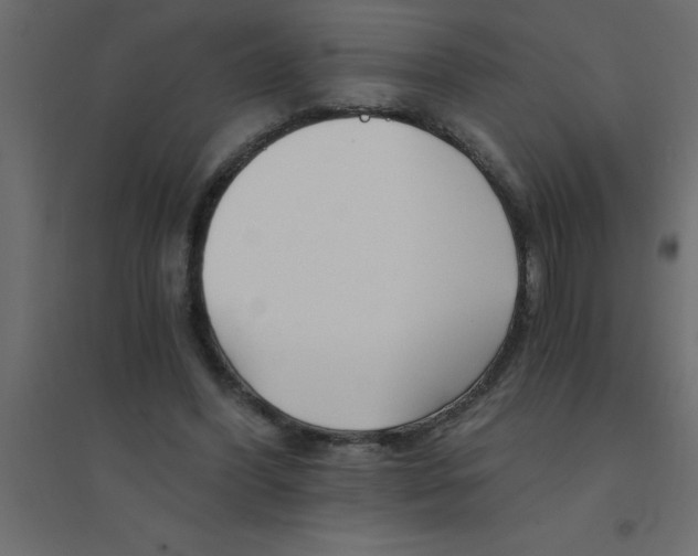 X0000094200396200711241642