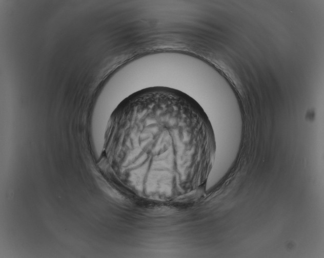 X0000094200397200711241642