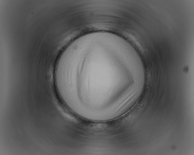 X0000094200398200711241642