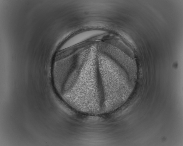 X0000094200399200711241642
