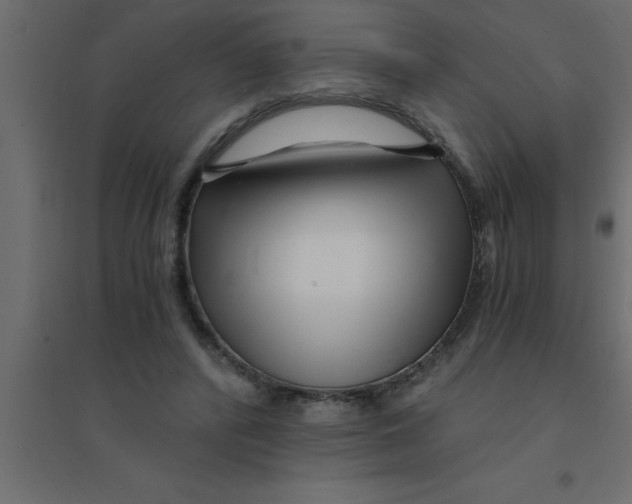 X0000094200400200711241642