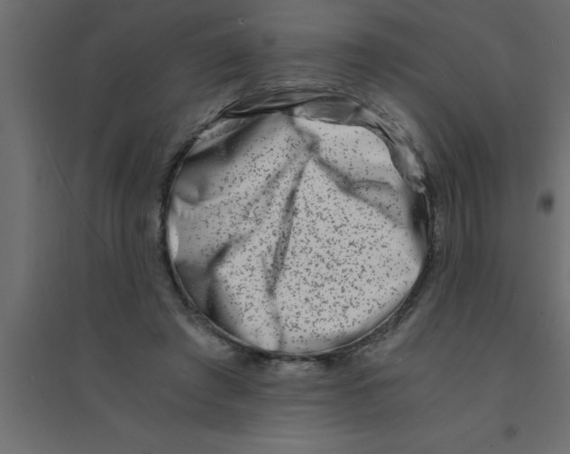 X0000094200401200711241642