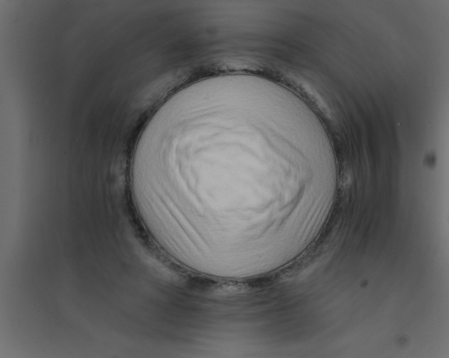 X0000094200402200711241642
