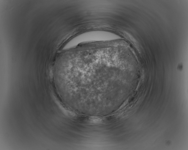 X0000094200405200711241642